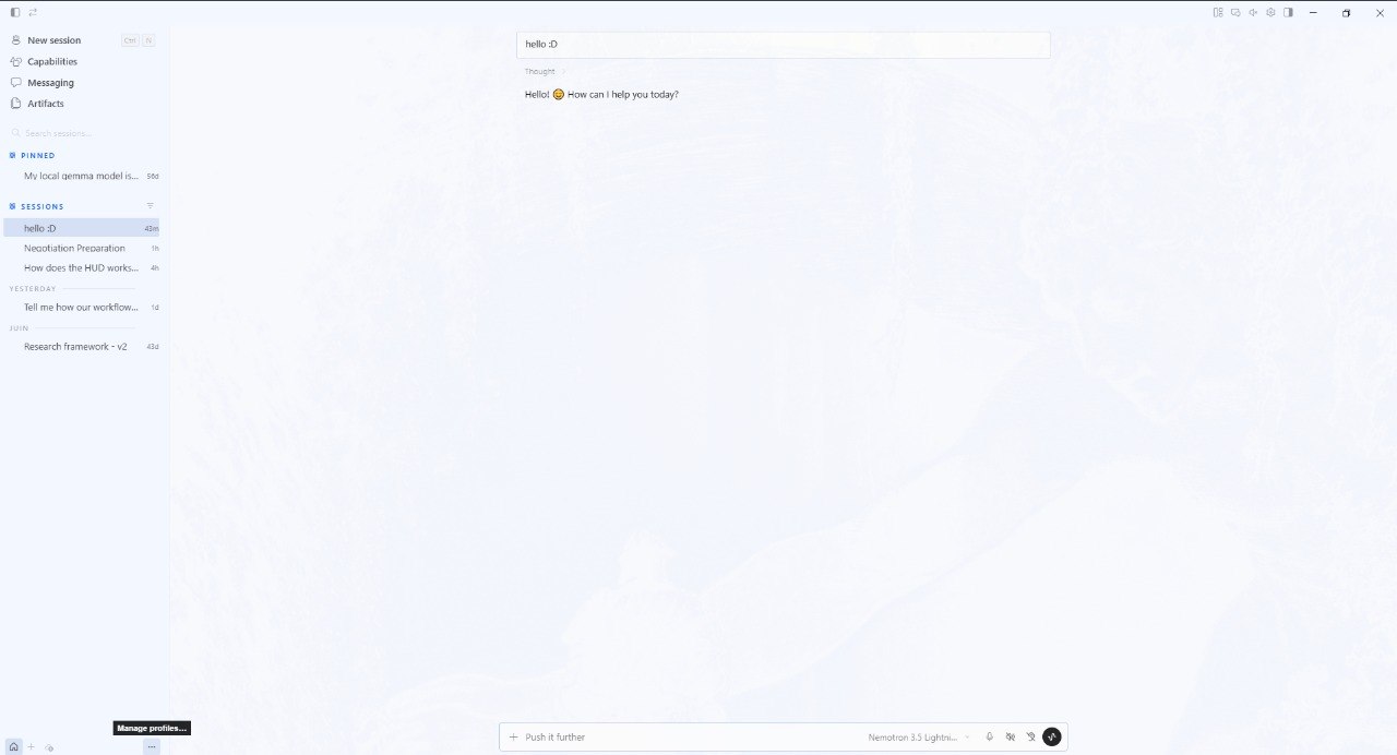 The Hermes chat window with a “Manage profiles…” tooltip showing above the profile button at the bottom left of the sessions sidebar.